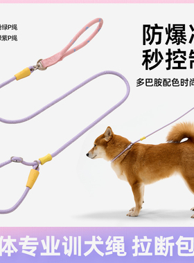 狗狗牵引绳防爆冲P绳P链防挣脱套脖狗链子小型中大型犬遛狗拴狗绳