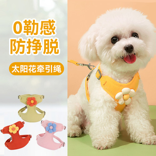 小狗狗牵引绳夏日出行小型犬专用
