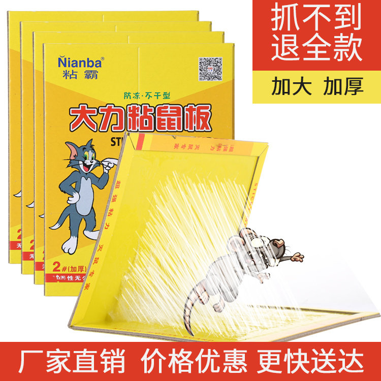 超强力粘鼠板捉抓粘大老鼠贴驱胶药灭捕鼠神器克星家用5片