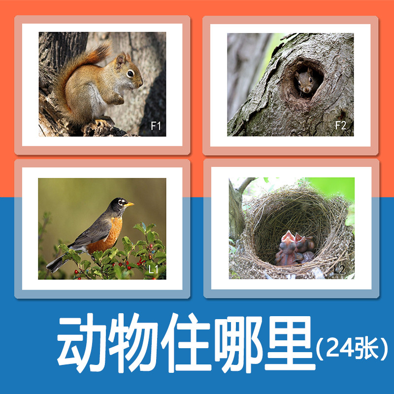 动物住在哪里自闭症幼儿童认知康复训练卡片早教语言发育迟缓教具