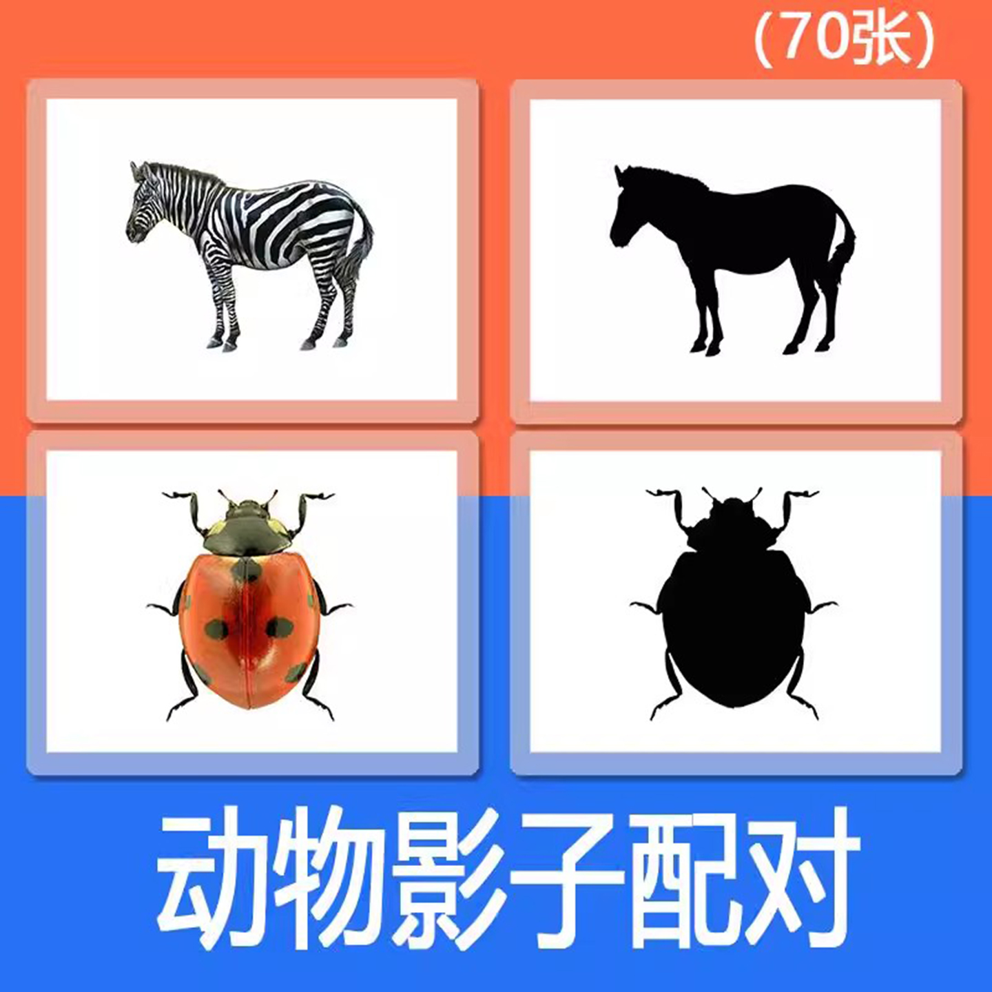 动物影子轮廓图自闭症卡片