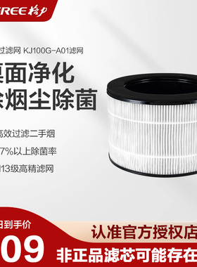 格力空气净化器KJ100G-A01滤芯滤网