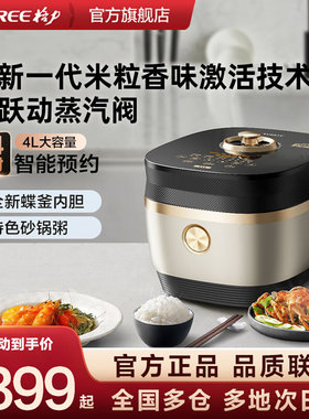 TOSOT/大松家用智能多功能IH电饭煲4L大容量煮饭锅焕香煲4013C