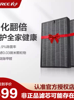 格力空气净化器KJ700G-A01滤网滤芯除醛（1件2个滤网）
