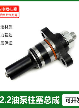 CP2.2油泵柱塞 博士世电喷313柱塞总成 高压油泵柱塞 F019D03313