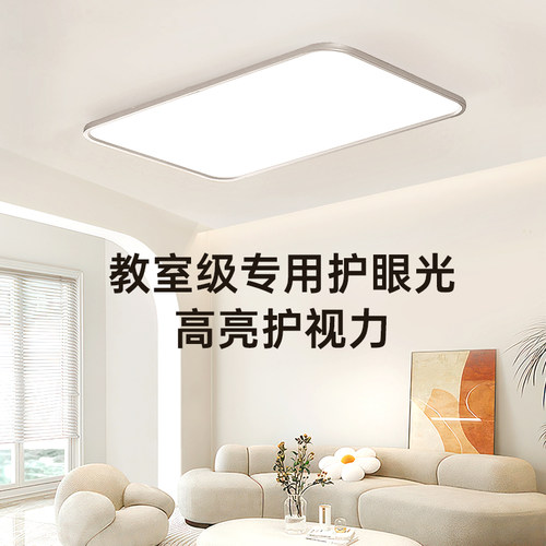 德国柏曼护眼客厅灯日光吸顶灯