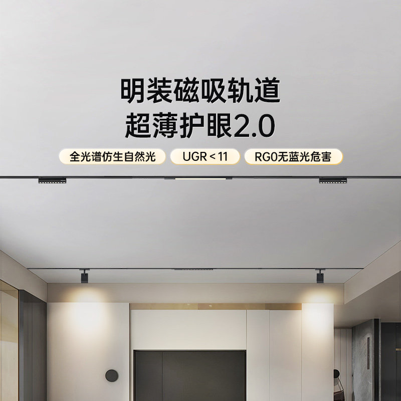 德国柏曼全光谱护眼磁吸轨道灯图片