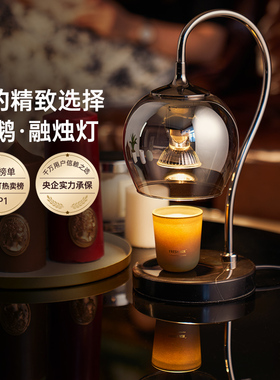 德国柏曼香薰融蜡灯高级氛围感新婚乔迁礼物卧室床头融烛微醺台灯