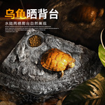 乌龟晒台爬台深水浮台巴西龟高水位浮岛晒龟台龟缸漂浮爬梯休息台