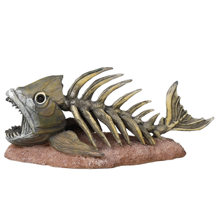 鱼缸仿真恐龙骨骷颅头骨鱼骨架躲避洞树脂假山水草造景水族箱装饰