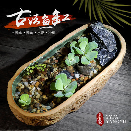 古法养鱼缸生态缸造景碗莲浮萍陶瓷盆乌龟缸水培池小型装饰彷石头