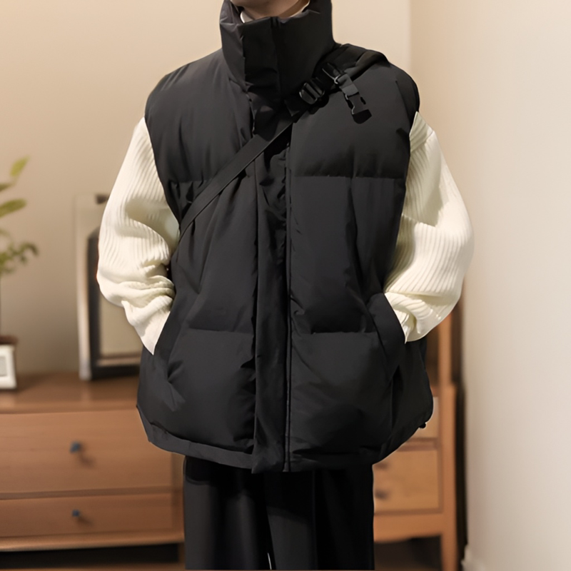 马甲外套男秋冬季立领坎肩无袖运动背心男款加厚保暖宽松棉服上衣