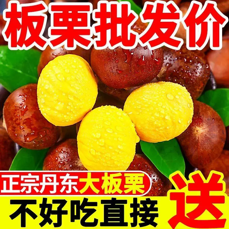 [新鲜丹东板栗生栗子5斤大果鲜嫩生毛粟子当季现摘带壳锥栗仁包邮]