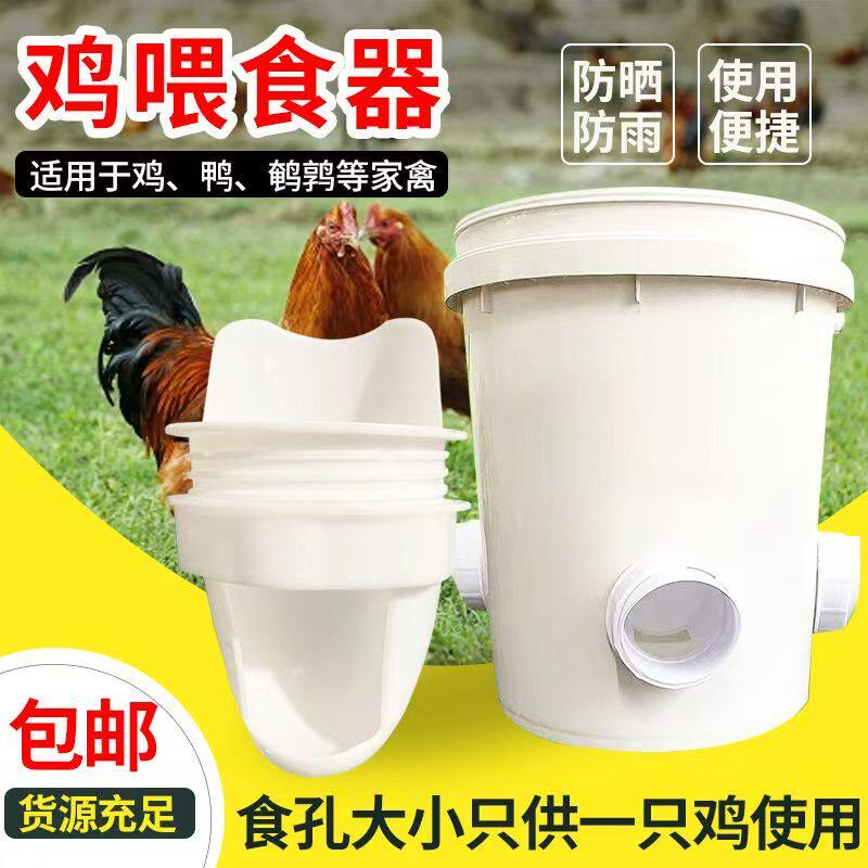 养殖场家禽全自动喂食饮水器