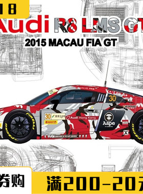 NUNU 1/24拼装汽车模型 Audi Hong Kong 奥迪R8  GT2015 世界杯