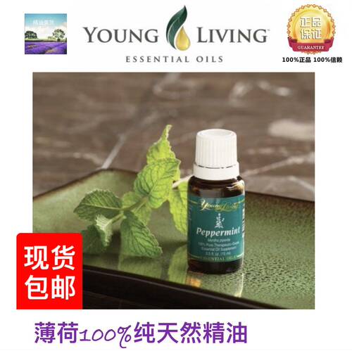 美国纯天然15ml薄荷精油