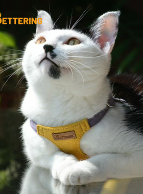 猫咪牵引绳背心式遛猫绳子幼小猫防挣脱外出专用溜猫神器宠物背带