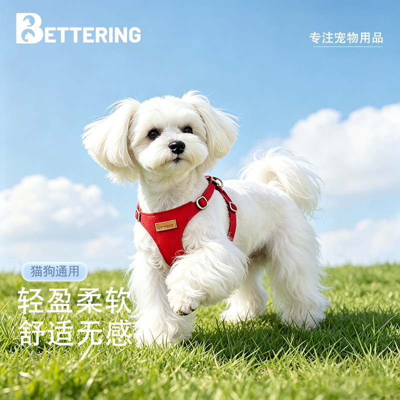 遛狗绳小狗狗牵引绳背心式小型犬图片