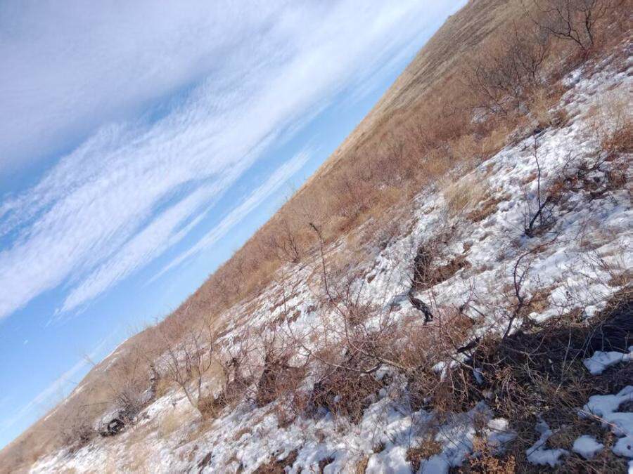 朱海才所有的位于巴林左旗乌兰达坝苏木乌珠花嘎查东南、架子山东南退耕地30亩林地