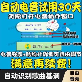 全自动电音助手软件 微电音插件电音基调检测查询切换识别电音猪