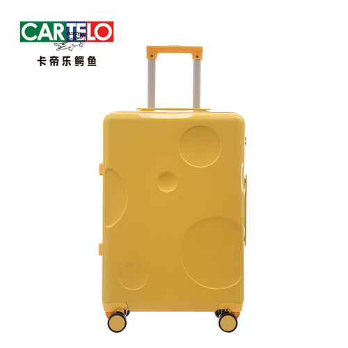 小型轻便日系20寸学生密码箱