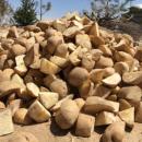 甘肃定西白皮白芯土豆沙面粉糯马铃薯种子洋芋蔬菜