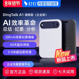 【企业版】钉钉A1 DingTalk AI智能录音笔 会议纪要 AI分析总结实时转写翻译