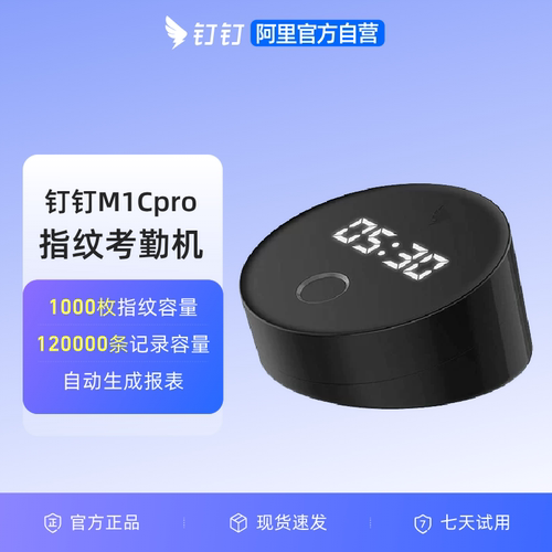 无需U盘一键导出考勤报表
