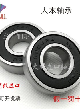 SA6202RZ/Z1 SA6303RZ 203 304 6302人本汽车发电机专用轴承 水泵