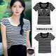 罩杯一体圆领显瘦胖mm遮肚上衣 带胸垫T恤2025夏新款 大码 条纹短袖
