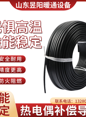 铜康铜KXRP K型热电偶测温线 2X1高温屏蔽补偿导线 0到1100度