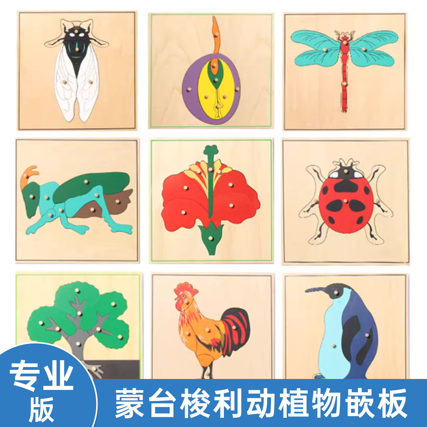 动物拼图植物拼图蒙氏教具手抓板家庭装木质嵌板儿童玩具幼儿园,玩具/童车/益智/积木/模型,拼图/拼板,淘宝优惠券,粉丝福利购,淘宝优惠卷