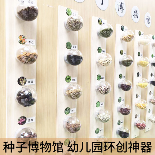 种子博物馆蒙氏教具木质墙面装饰