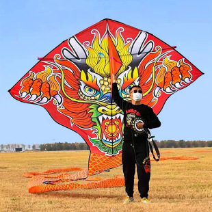 潍坊龙风筝新款成人大型飞龙风筝跨境亚马逊国潮大威天龙风筝