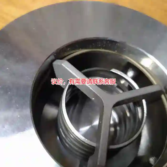 议价Gestra止回阀RK49 DN65议价