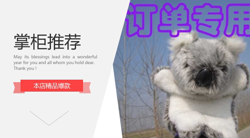 订单，运费  补拍