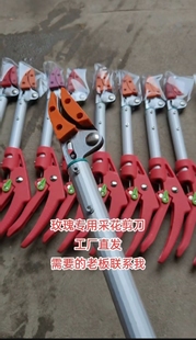 40公分玫瑰花专用剪刀玫瑰月季百合抬剪花农采花专用