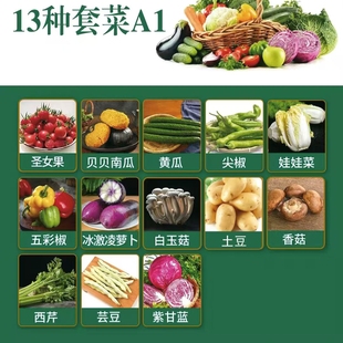 山东新鲜蔬菜组合礼盒大礼包当季套菜特菜套餐春节送礼