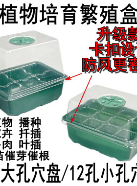 加厚塑料种子萌发育苗盒叶插扦插