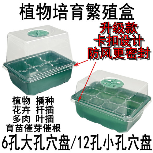 加厚塑料种子萌发育苗盒叶插扦插