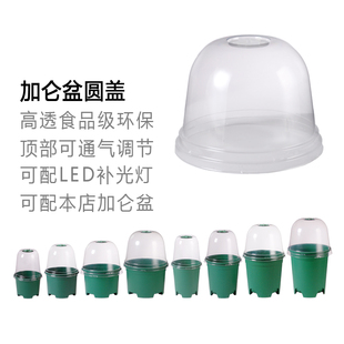 植物育苗罩加仑盆圆形塑料盆盖地膜调节扣保暖御寒保温湿促进生长