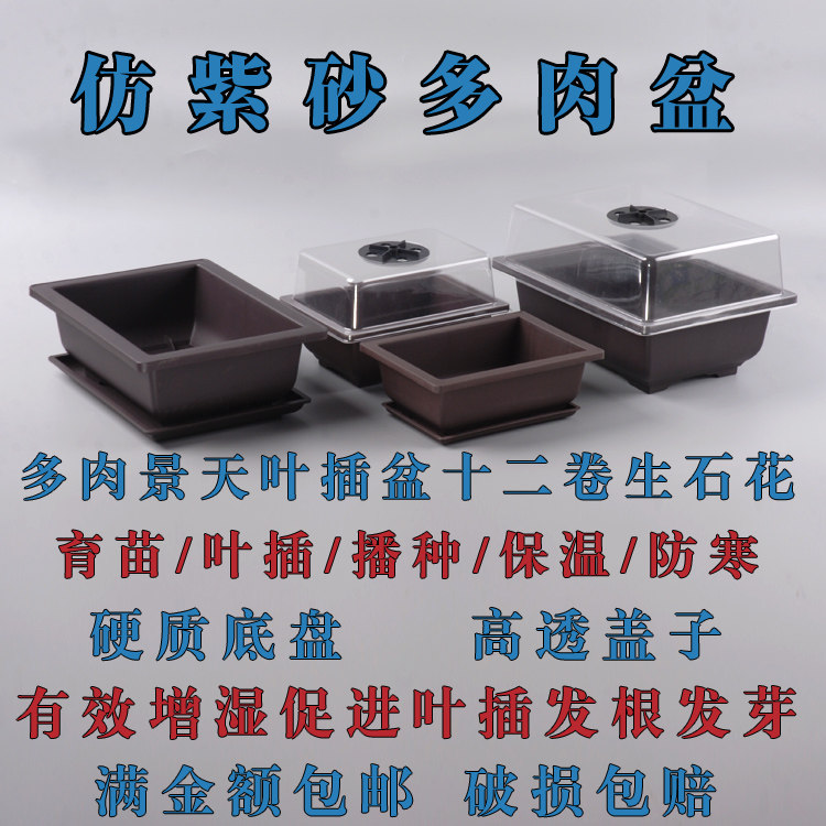 塑料仿紫砂多肉盆长方形加厚生石花播种叶插育苗盆可配托盘透明盖