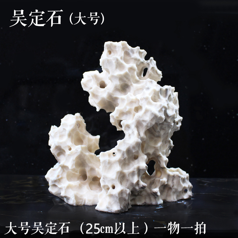 大号吴定石（25cm以上) 吸水石太湖石虎须金钱附石菖蒲盆 包邮 鲜花速递/花卉仿真/绿植园艺 花盆 原图主图