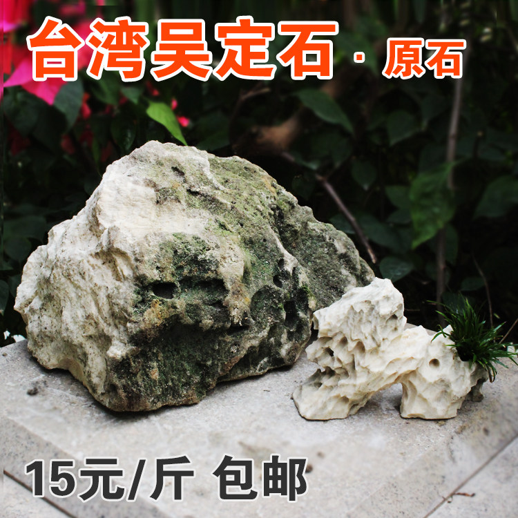 老刘石艺 台湾吴定石原石 吸水石上水石太湖石金钱附石菖蒲盆包邮