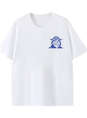 ISFV夏季潮流纯棉圆领男士T恤透气百搭时尚情侣短袖