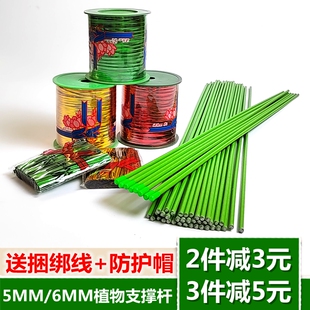 金钱树支架植物花架杆捆绑扎线蔬菜瓜果蕃茄植物爬藤架支撑杆铁线