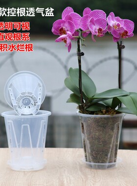加厚蝴蝶兰专用花盆控根盆透气兰花杯盆栽石斛种植透明育苗兰花钵