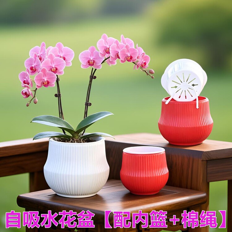 懒人自吸水双层套盆仿陶瓷花钵图片