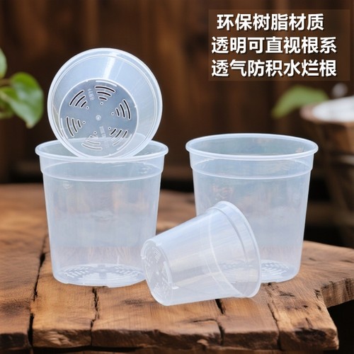 蝴蝶兰花专用花盆育苗杯营养钵