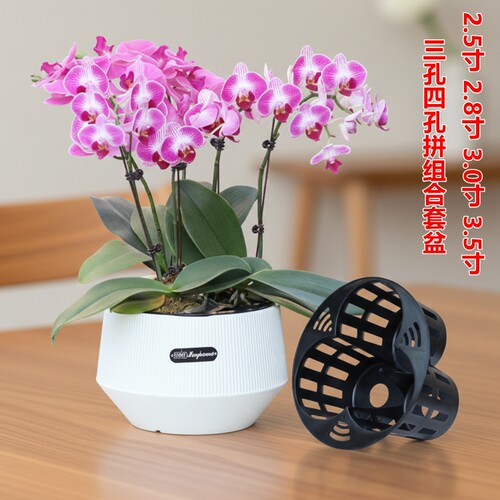 2.5寸2.8寸3.0寸3.5寸杯三孔四孔蝴蝶兰专用拼组合套盆定植篮花钵